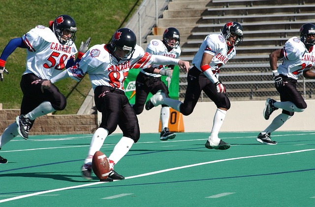 的粉丝互动 的粉丝互动