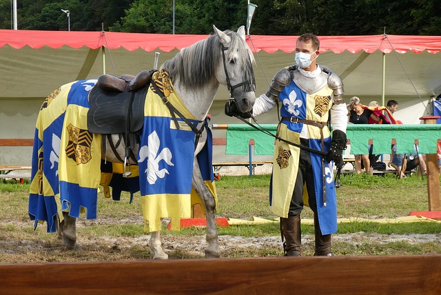 内线防守 内线防守